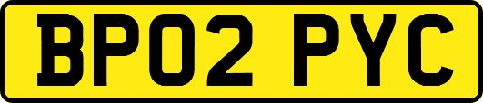BP02PYC