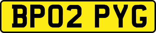BP02PYG