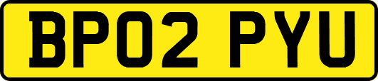 BP02PYU
