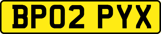 BP02PYX