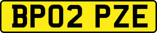 BP02PZE
