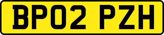 BP02PZH