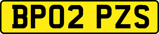 BP02PZS