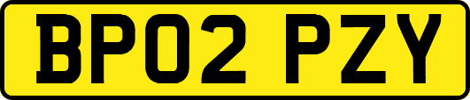 BP02PZY