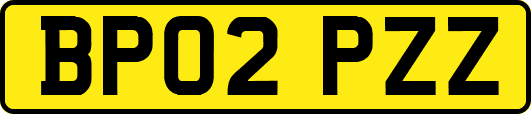 BP02PZZ