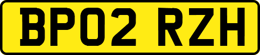 BP02RZH