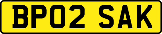 BP02SAK