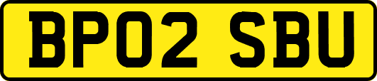BP02SBU