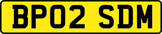 BP02SDM