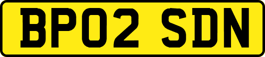 BP02SDN