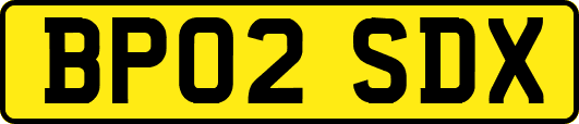 BP02SDX