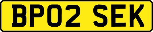 BP02SEK