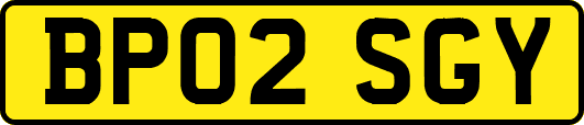 BP02SGY