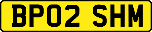 BP02SHM
