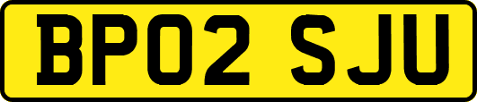 BP02SJU