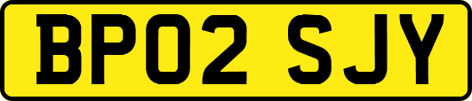 BP02SJY