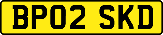 BP02SKD
