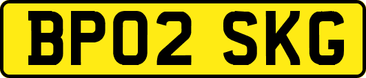 BP02SKG