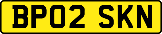 BP02SKN