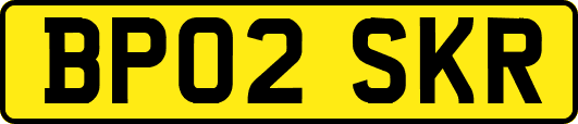 BP02SKR
