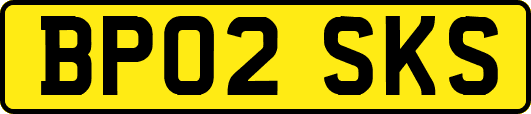 BP02SKS