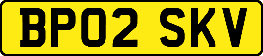 BP02SKV
