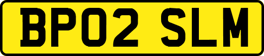 BP02SLM