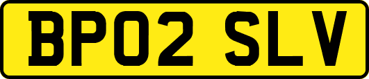 BP02SLV