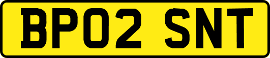 BP02SNT