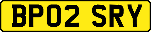 BP02SRY