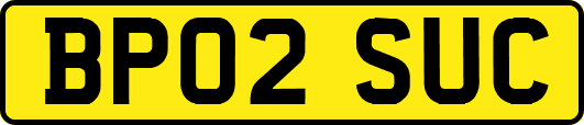 BP02SUC