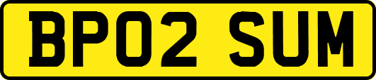 BP02SUM