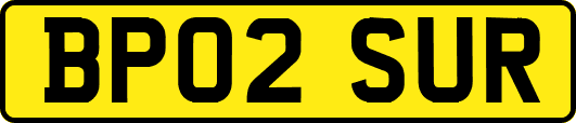 BP02SUR