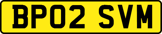 BP02SVM