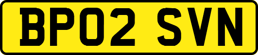 BP02SVN