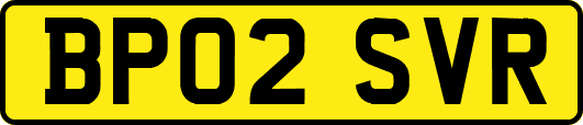 BP02SVR