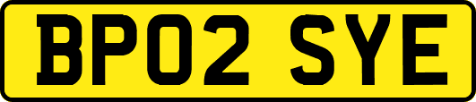 BP02SYE