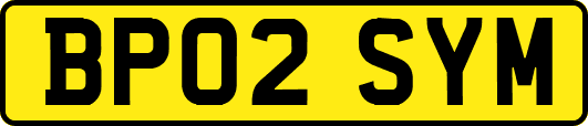 BP02SYM