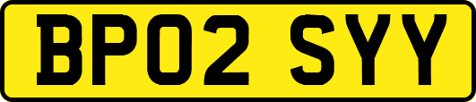 BP02SYY