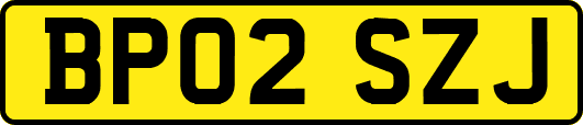 BP02SZJ