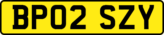 BP02SZY