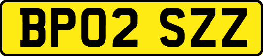 BP02SZZ