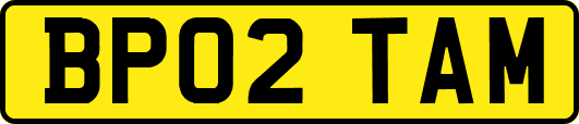 BP02TAM