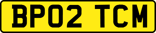 BP02TCM