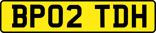 BP02TDH