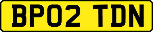BP02TDN