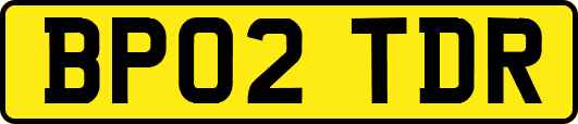 BP02TDR