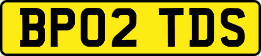BP02TDS