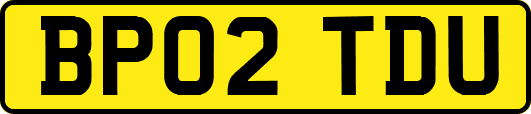 BP02TDU