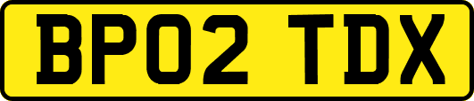 BP02TDX